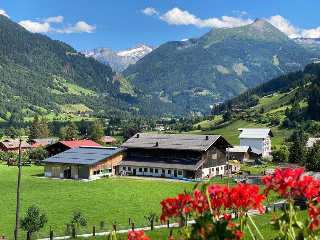 Zittrauerhof - Urlaub Am Bauernhof Gastein Villa Bad Hofgastein Eksteriør billede