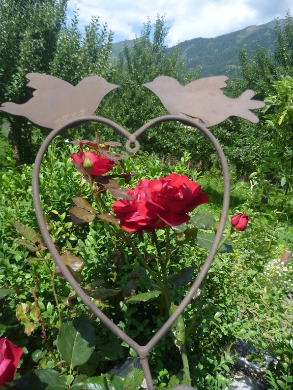 Zittrauerhof - Urlaub Am Bauernhof Gastein Villa Bad Hofgastein Eksteriør billede