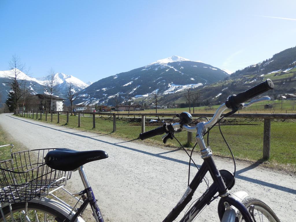 Zittrauerhof - Urlaub Am Bauernhof Gastein Villa Bad Hofgastein Eksteriør billede