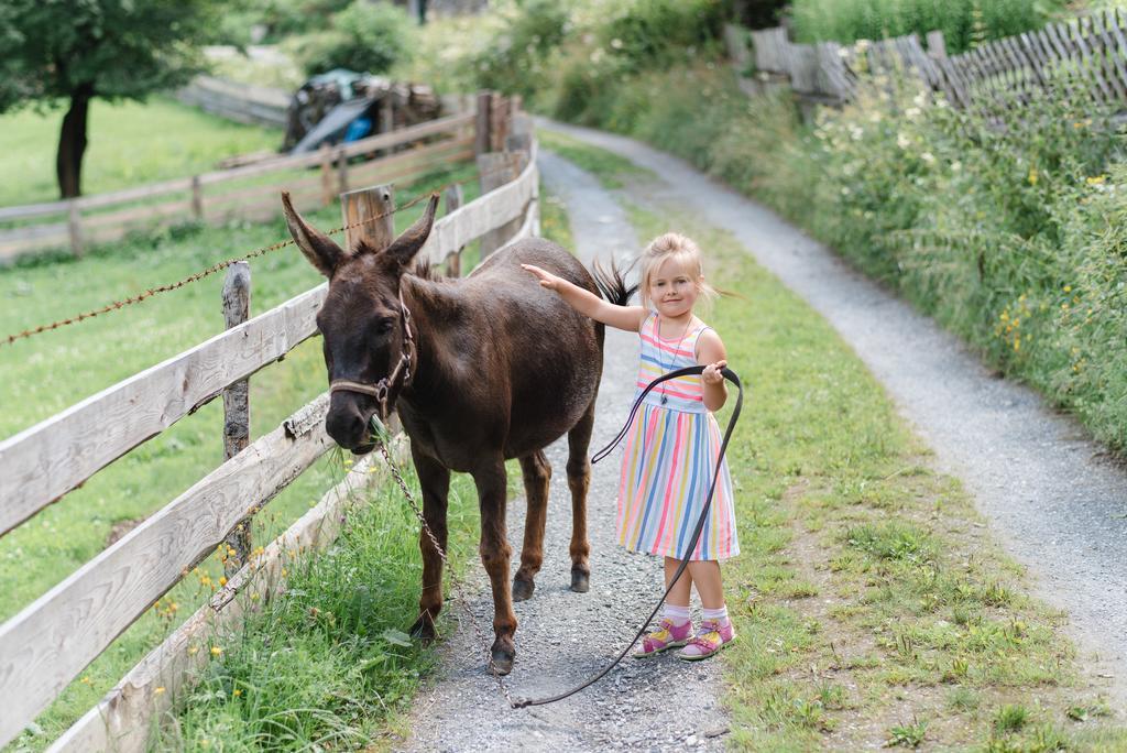 Zittrauerhof - Urlaub Am Bauernhof Gastein Villa Bad Hofgastein Eksteriør billede