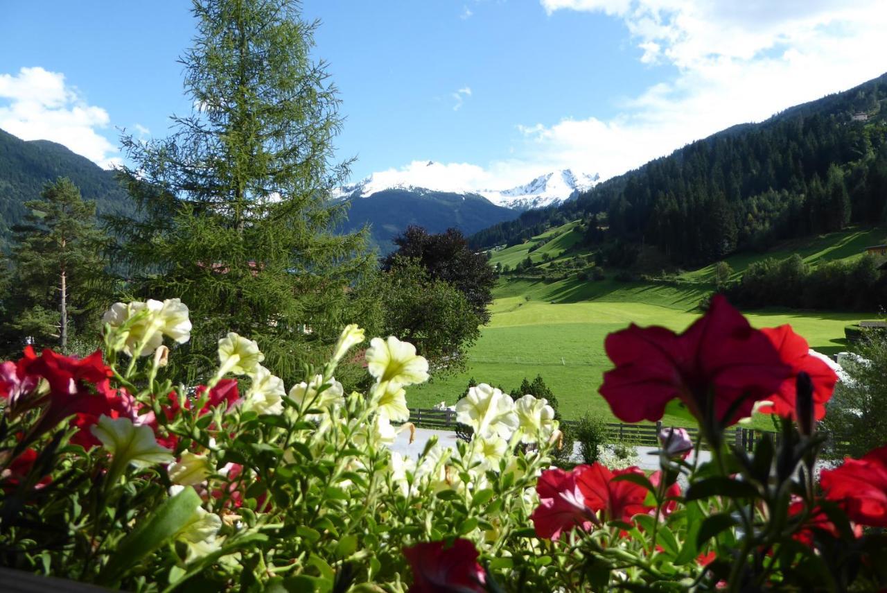 Zittrauerhof - Urlaub Am Bauernhof Gastein Villa Bad Hofgastein Eksteriør billede